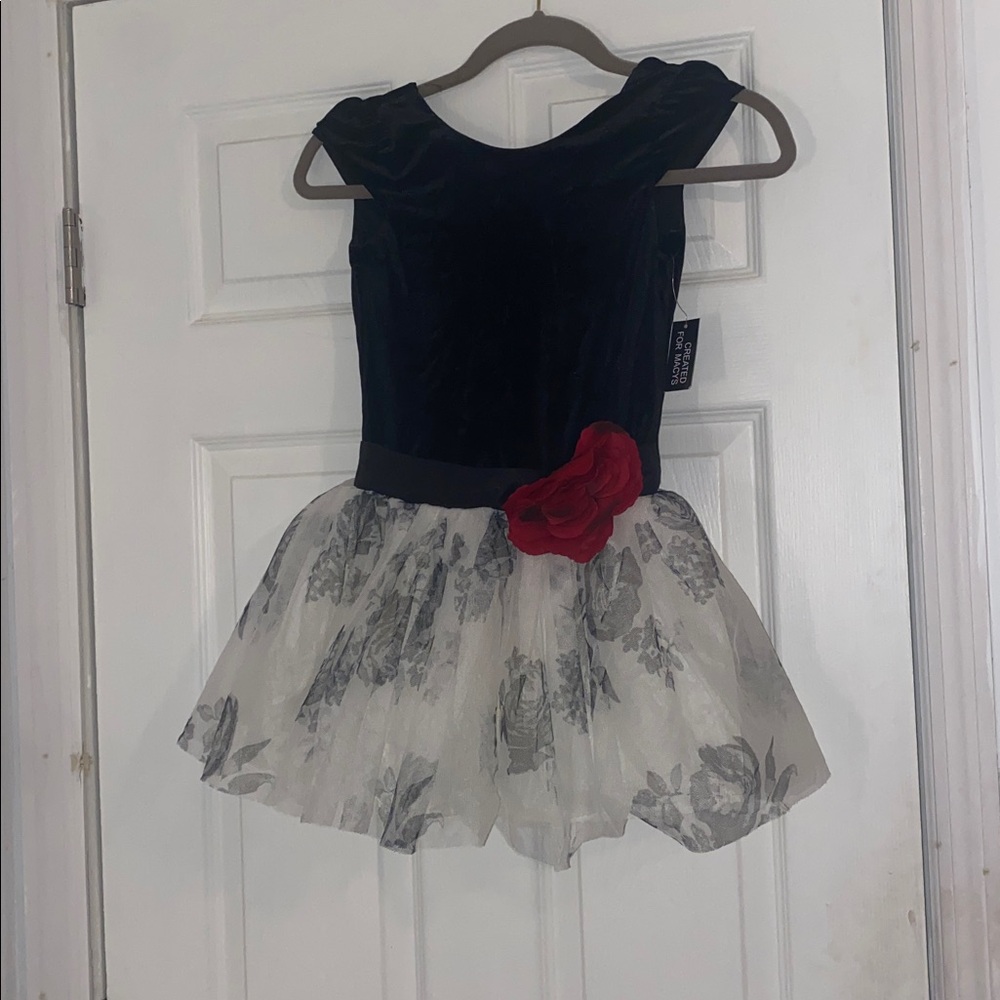 Pink & Violet Black and white velvet chiffon Dress